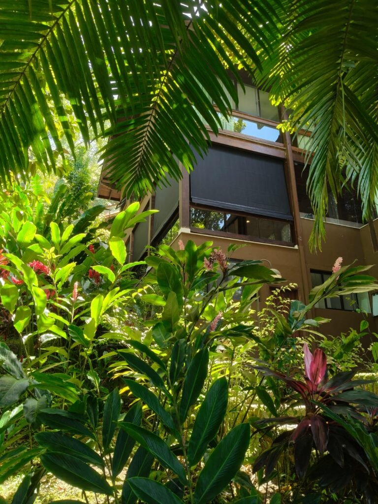 Toldo cortina com tela solarWhatsApp Image 2025-11-24 at 19.48.02 (1)